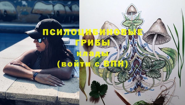 прущие грибы Балахна