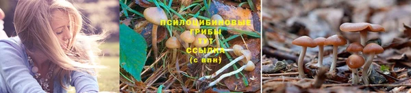 apvp Балабаново
