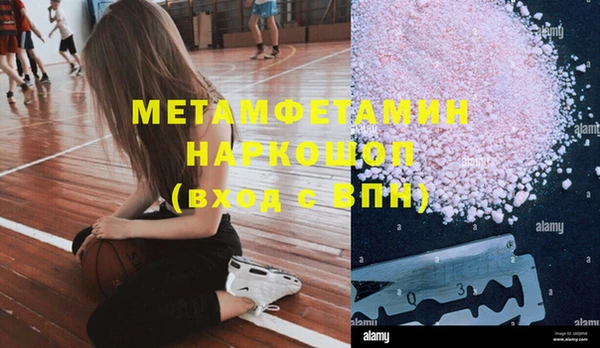 прущие грибы Балахна