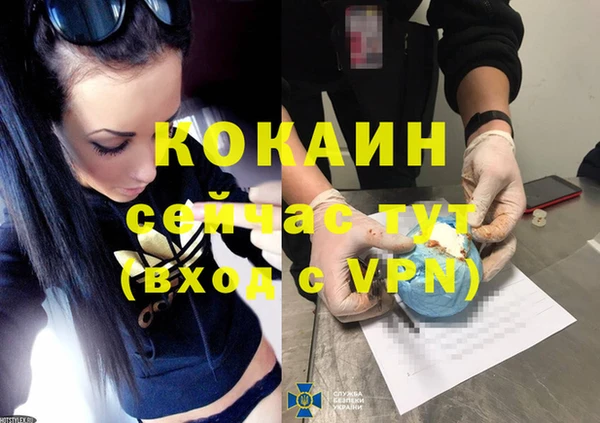 прущие грибы Балахна
