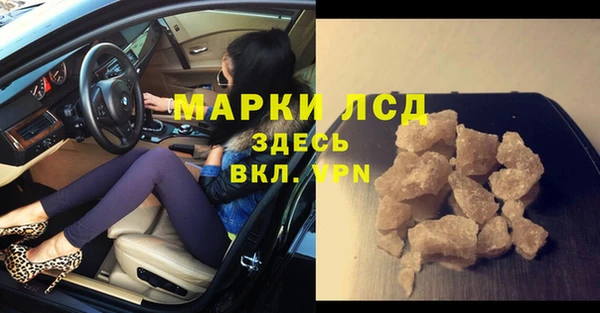 прущие грибы Балахна