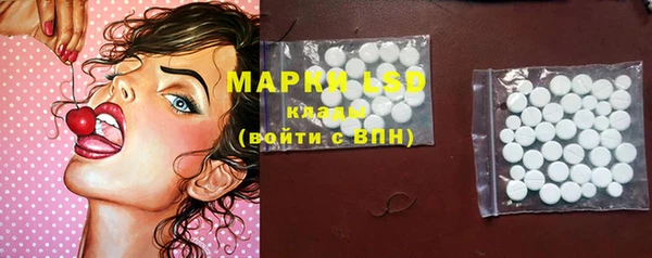 прущие грибы Балахна
