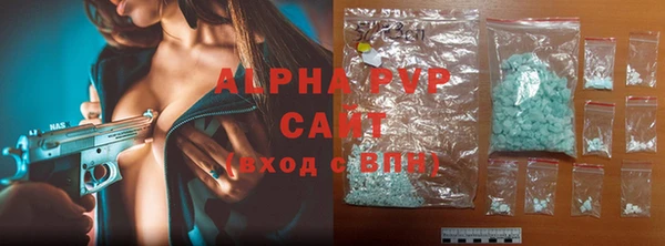 прущие грибы Балахна