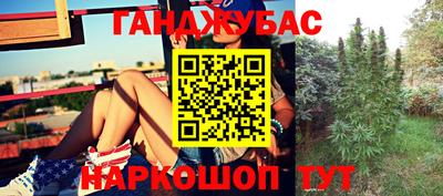 индика Лесосибирск