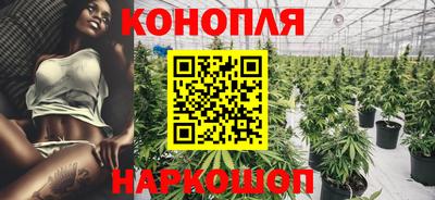 гашик Ливны