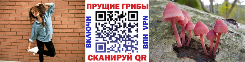 Псилоцибиновые грибы MAGIC MUSHROOMS  Кувандык 