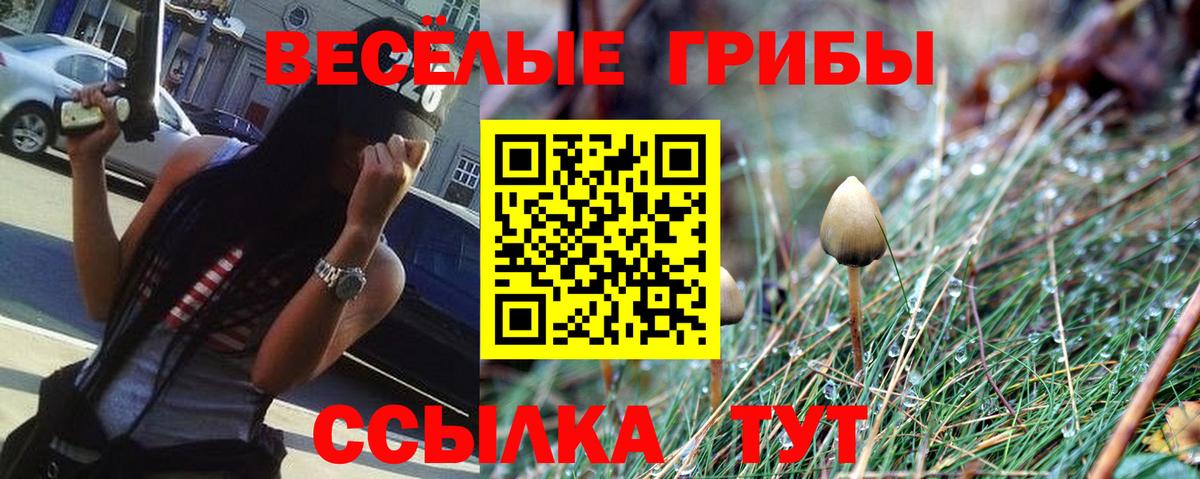 Галлюциногенные грибы прущие грибы Кувандык