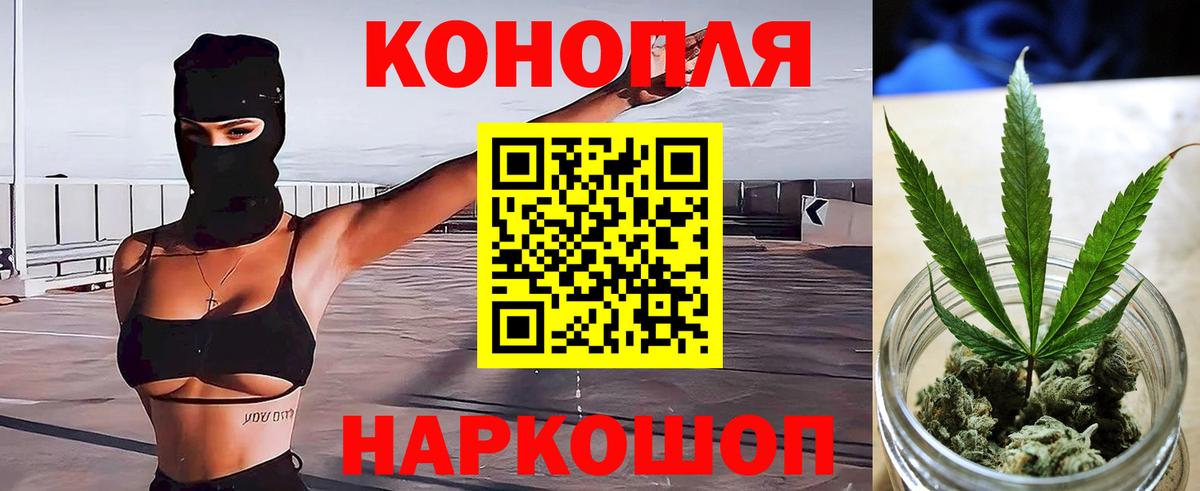 Каннабис индика Кувандык